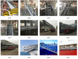 Gangways and ladders
